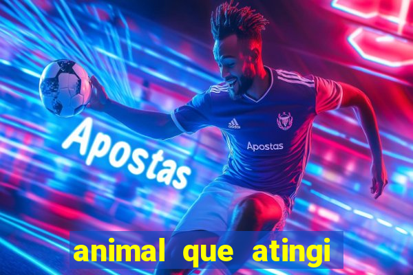 animal que atingi 230 decibeis